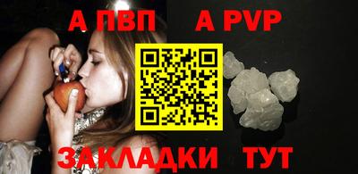 спиды Гай