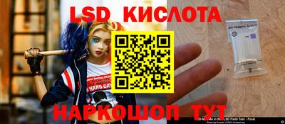 спиды Гай