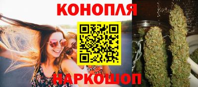 спиды Гай