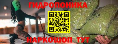 дмт Гагарин