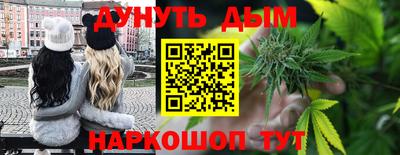 прущие крисы Гатчина