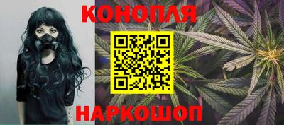спиды Гай
