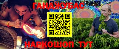прущие крисы Гатчина