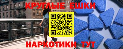 спиды Гай